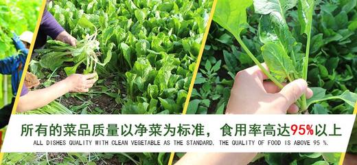 厦门专业蔬菜配送_专业的蔬菜配送哪里有