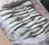 厦门蔬菜水果调味品豆制品水产品肉制品粮油配送