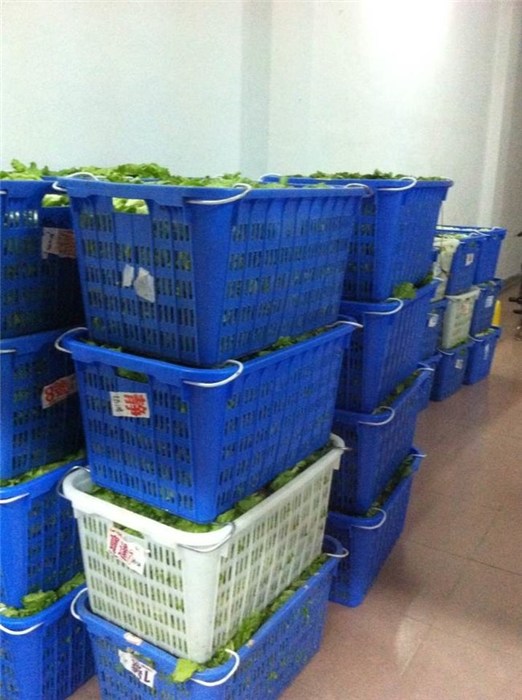 厦门市翔安区蔬菜配送服务_为客户提供