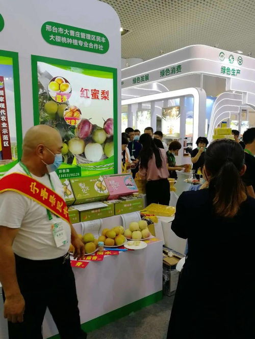 宁晋绿色农产品在厦门绿博会广受欢迎