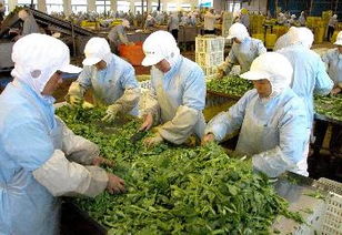 放心食品工程 让市民放心