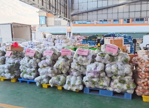 并肩厦门战 疫 到底 一亩鲜生 为同安捐赠大量蔬菜物资