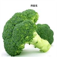 厦门有机蔬菜配送中心 蔬菜配送
