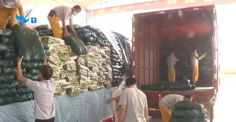 国庆市场供应平稳 “菜篮子”品种丰富