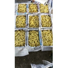 厦门盛之康农业开发