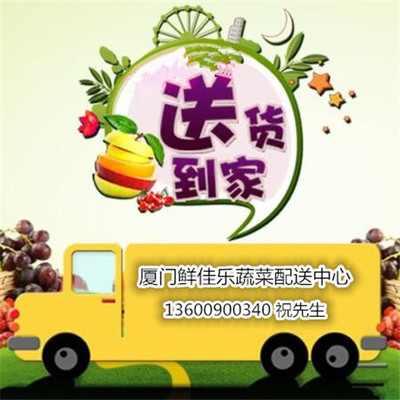 福建的蔬菜配送|蔬菜配送咨询