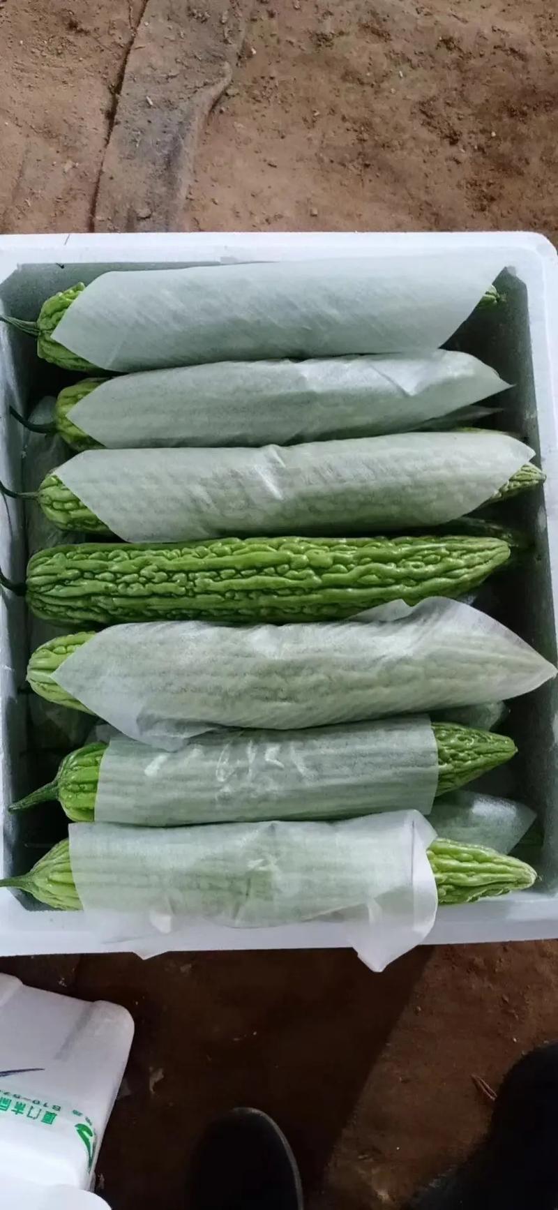 厦门蔬菜批发配送,厦门生鲜配送,厦门食材配送,厦门新鲜蔬菜基