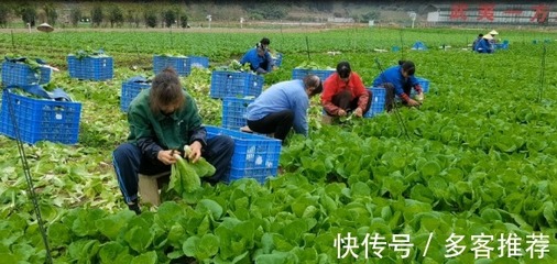 胖哥俩肉蟹煲大量使用过期食材,把「隔夜死蟹」当现杀活蟹卖!