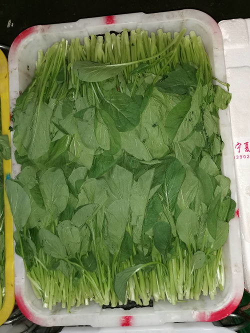 深圳公明东坑社区工厂有机蔬菜配送