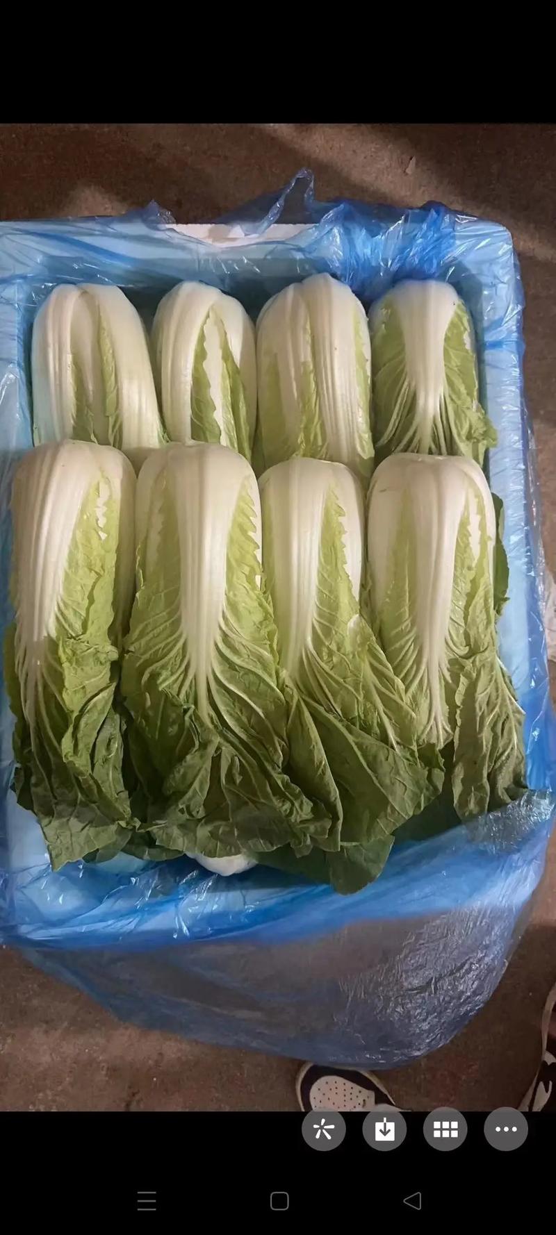 厦门蔬菜批发配送,厦门生鲜配送,厦门食材配送,厦门新鲜蔬菜基