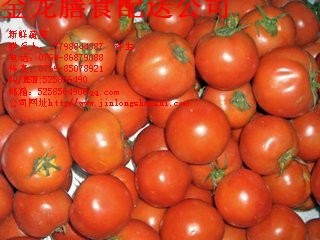 厦门市食堂承包蔬菜配送