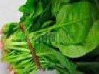 图 深圳生鲜蔬菜配送公司专业工厂学校蔬菜配送生鲜水果 深圳生活配送
