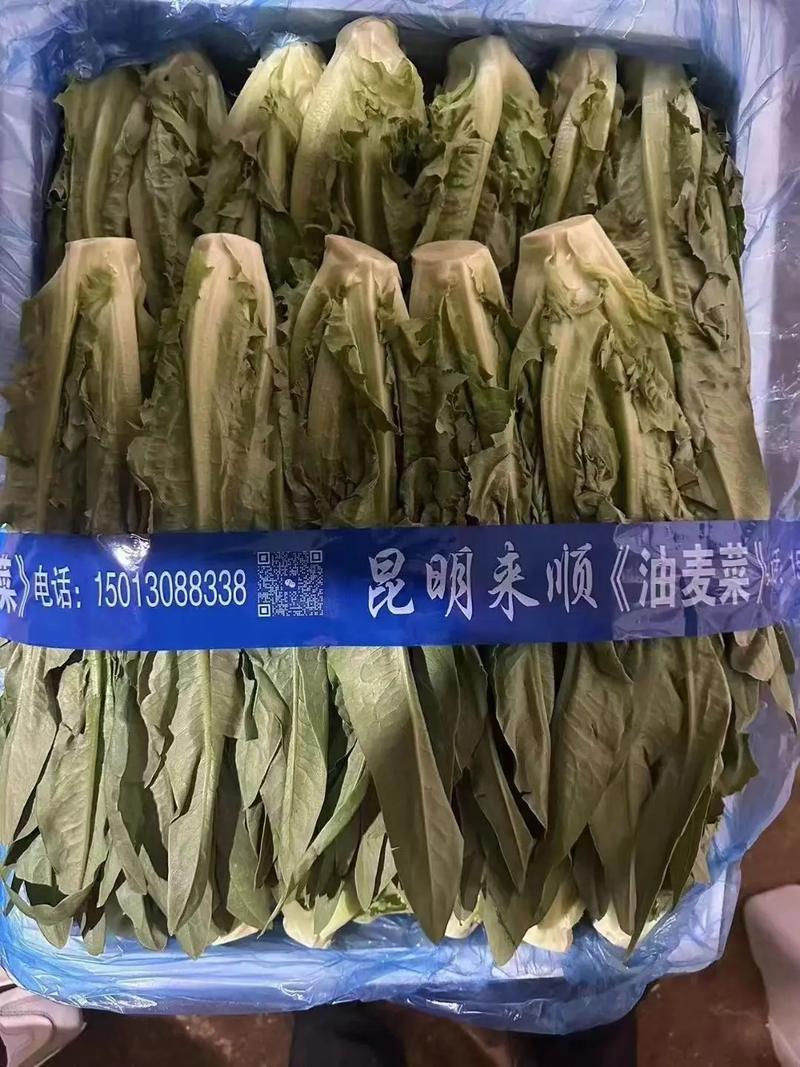 厦门蔬菜批发配送,厦门生鲜配送,厦门食材配送,厦门新鲜蔬菜基