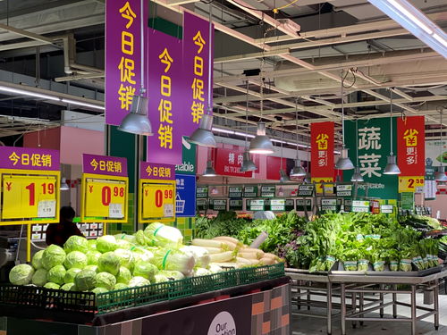 厦门家乐福 苏宁小店蔬菜预售上线,线上订,就近送