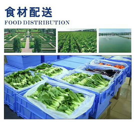 饭堂承包价格