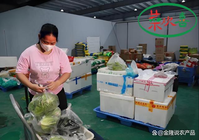 厦门市集美区蔬菜配送"菜欢喜"领跑现代农业发展