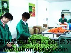 厦门专业的鹭宏康果蔬提供商,厦门蔬菜配送代理