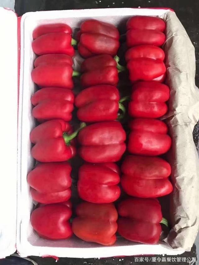 厦门蔬菜配送,工厂生鲜供应商