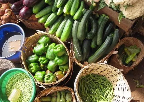 90后的厦门菜贩子,从菜市场里找到另一种活法 人物