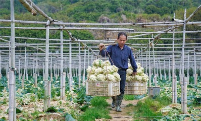 龙文:" 线上+线下 " 融合 打破销售瓶颈
