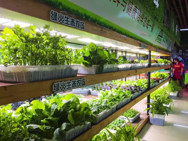 厦门同安"菜欢喜":数字化赋能下的蔬菜配送新标杆