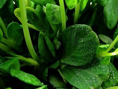 推荐能刷限制地区的微信投票的公司价格_推荐能刷限制地区的微信投票的公司批发_推荐能刷限制地区的微信投票的公司厂家-258.com企业服务平台