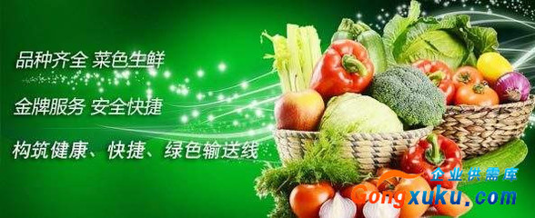 厦门学校蔬菜配送,厦门幼儿园蔬菜配送