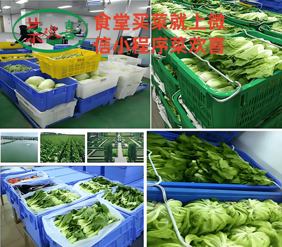 厦门(菜欢喜)蔬菜配送供应链成本控制策略