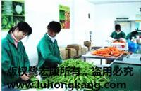 厦门物流价格_厦门物流价格供应信息_厦门物流价格价格 [第1页] - 八方资源网