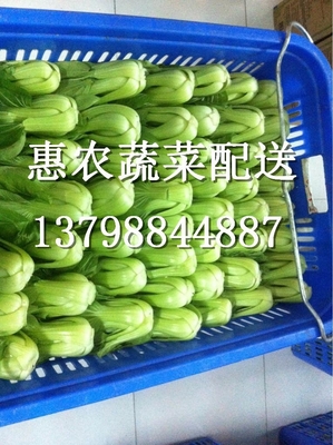 厦门市潓农蔬菜配送