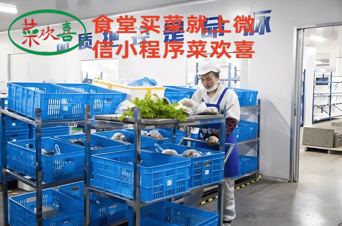 厦门海沧区“菜欢喜”蔬菜配送市场 菜篮子工程触角广泛延伸