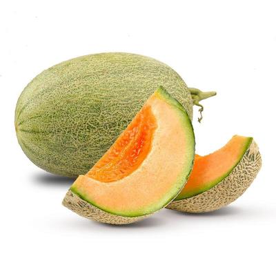 章鱼鲜生 专业生鲜蔬菜配送服务——连接泉州与厦门的优质食材供应商