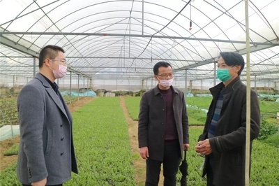 永泰防疫春耕两手抓!厦门蔬菜配送保供稳产