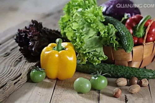 百蔬园滴邻帮 厦门蔬菜配送新模式的正式上线